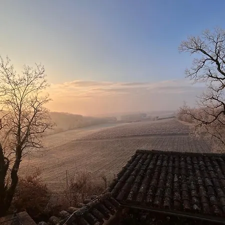 D'hotes Dans Un Chateau Au Coeur De La Toscane Occitane Albi-cordes-rabastens Bed & Breakfast